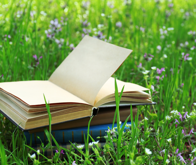 Vuelve la Magia de la Lectura: Así Será la Feria del Libro de Madrid 2025